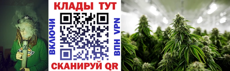 ГАШ Сольцы