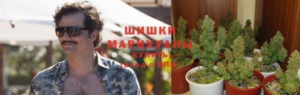 альфа пвп Инсар