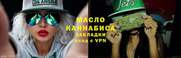 мет Инта