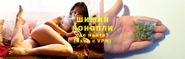 мет Инта