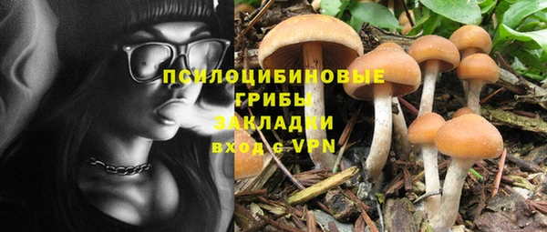 круглые Каменногорск