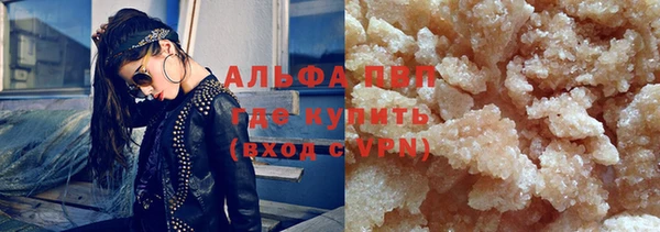 стафф Зеленокумск