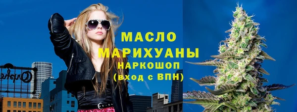 мет Инта